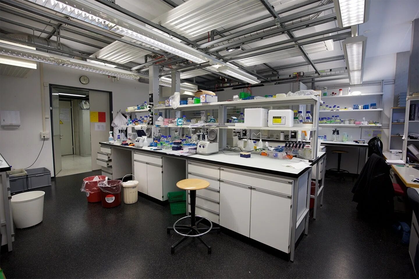 T laboratory