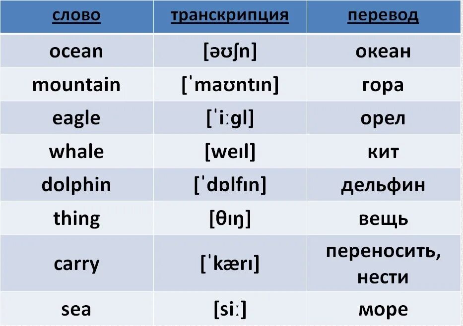 Транскрипция. Английский произношение. Транскрипция слова. Слова по английскому.