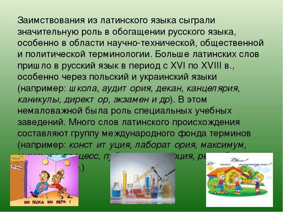 Примеры заимствований из латинского языка. Латинские слова в русском. Заимствованные слова из латинского языка. Заимствованные слова из латинского. Известные латинские слова.