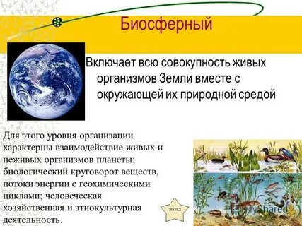 Совокупность всех живых организмов биосферы это