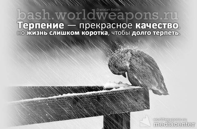 Д терпел. Терпение вещь хорошая но. Терпение но жизнь коротка. Картинка со словом терпение. Терпение рисунок со смыслом.