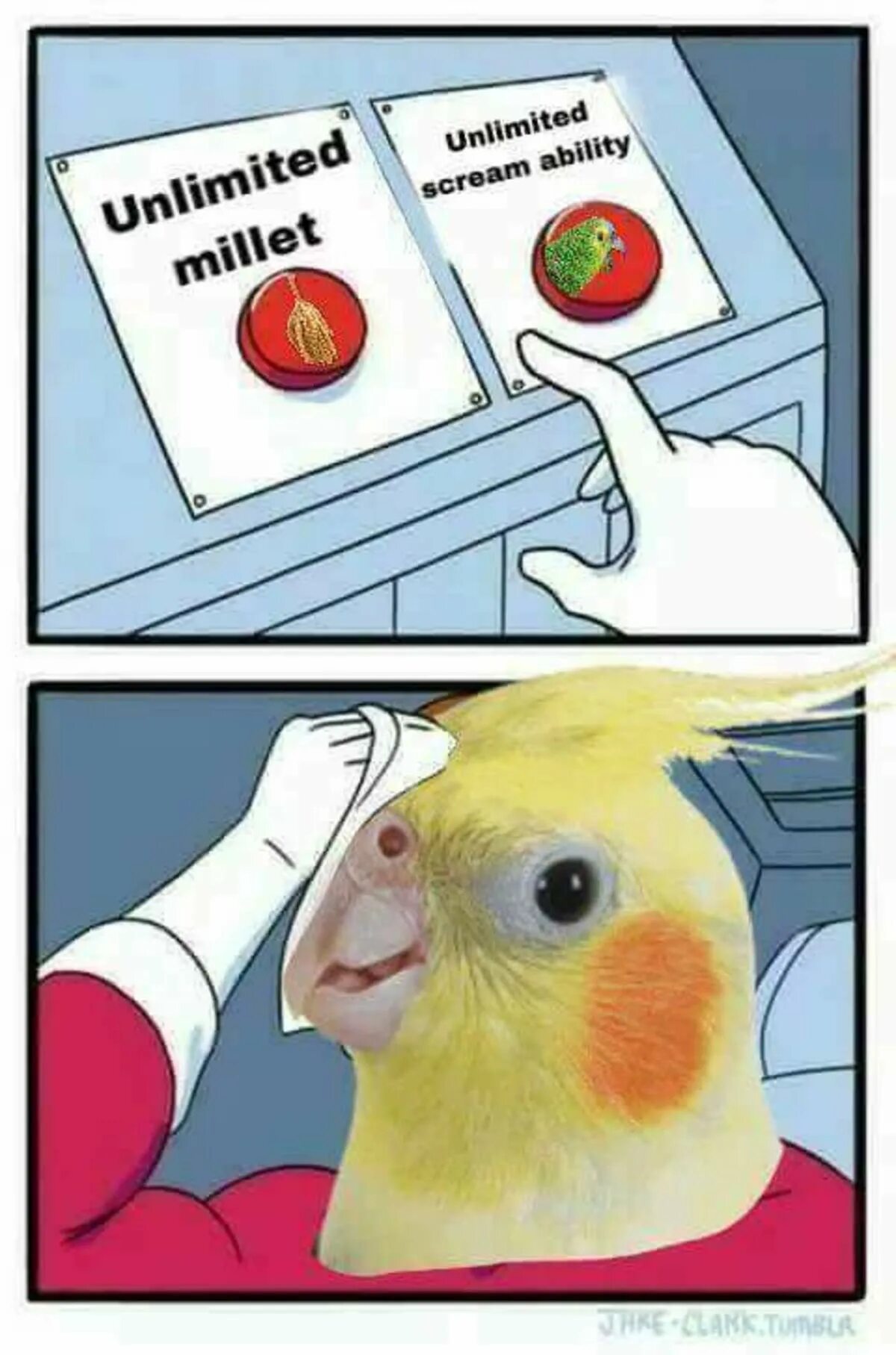 Мем птица. Мемы с птицами. птица мем. птица из мемов. meme про птиц.