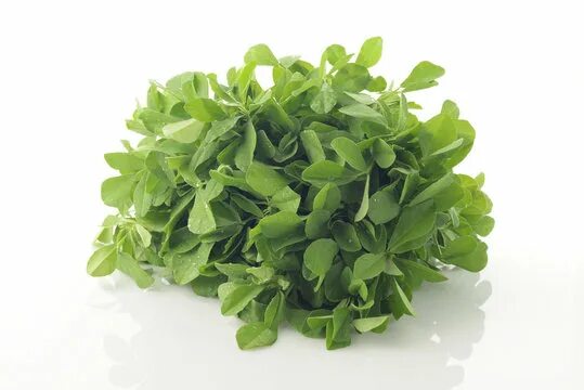Benefits of Eating Green Vegetables Fenugreek benefits, Fenugreek, Methi seeds