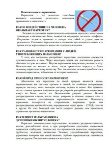 Лекция о вреде наркотиков для школьников