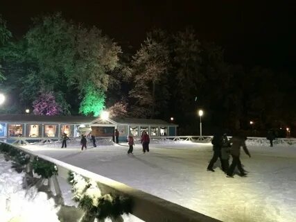 Каток в пушкине в парке