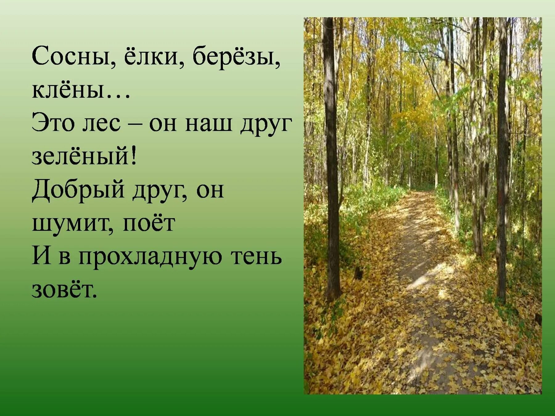 Шагая по пахучему лиственному покрову. Стихи о лесе. Стих про лес короткие. Стихи о лесах. Небольшой стих про лес.