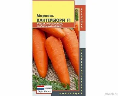 Морковь для сибири