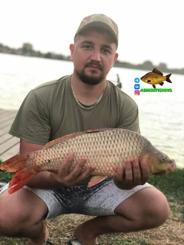 рыбалка абинск крымск. белый амур 50 кг. озеро шелюгино. фидер что за рыба. рыбалка абинск крымск.