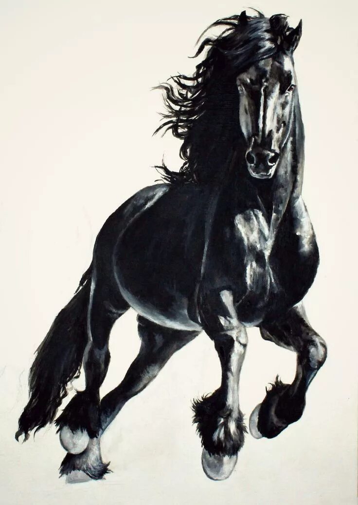 Черное рисунок лошади. Черный конь. лошадь на дыбах. картина лошади. черный жеребец.
