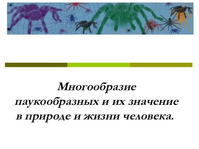 Роль паукообразных в природе и деятельности человека. Паукообразные в жизни человека. значение паукообразных в природе и жизни человека. значение паукообразных. роль паукообразных в жизни человека.