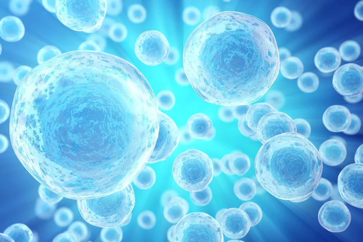 Changing cells