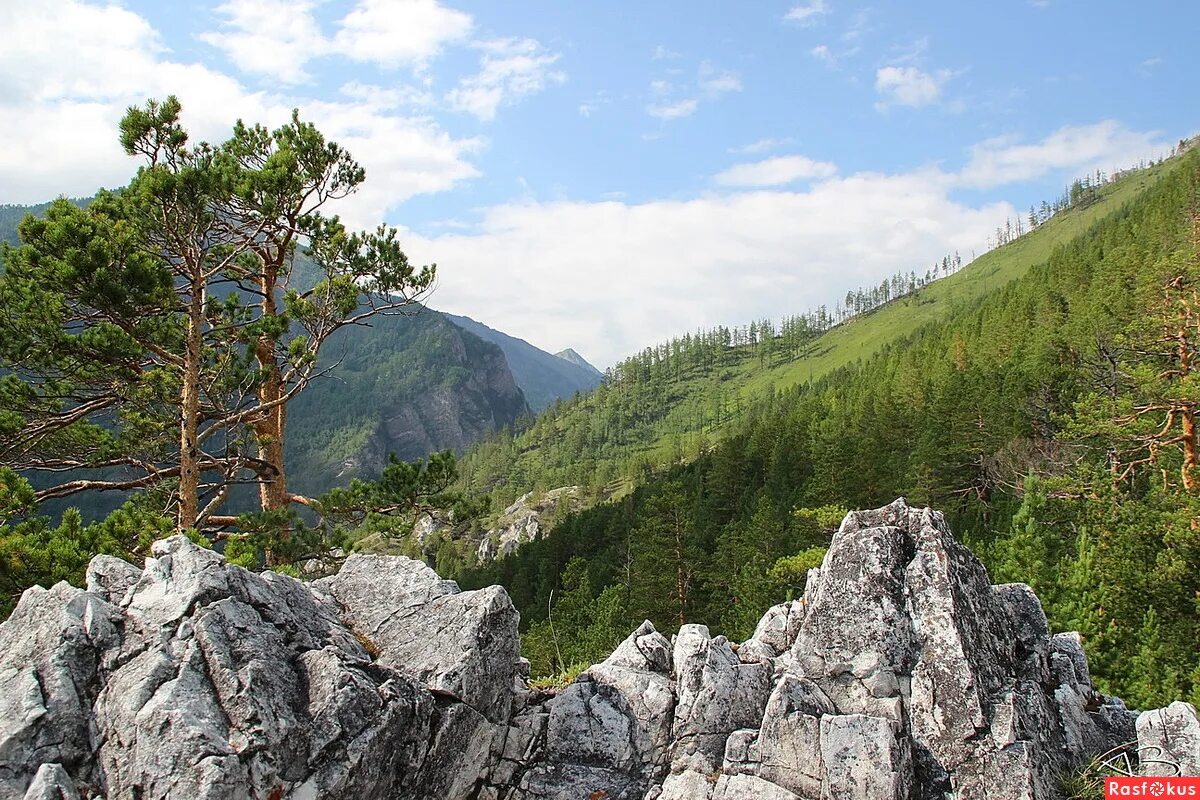 тункинские гольцы. ергаки хребет арадан. восточные саяны тайга. пик стол восточные саяны. работа на саянах.