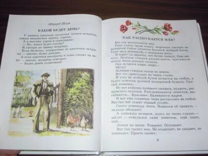 Красота сочинение шим