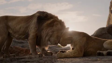 Король Лев / The Lion King (Джон Фавро) 2019, мультфильм, мюзикл, драма, .....