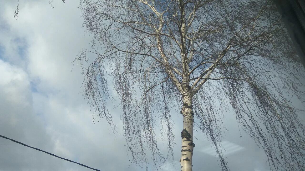 ветер апрель