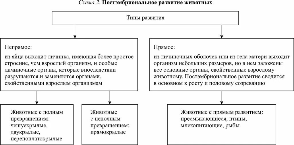 Чем отличается прямое и непрямое развитие. Характеристика типов постэмбрионального развития таблица. постэмбриональное развитие таблица. схема постэмбрионального развития. таблица постэмбриональное развитие таблица.