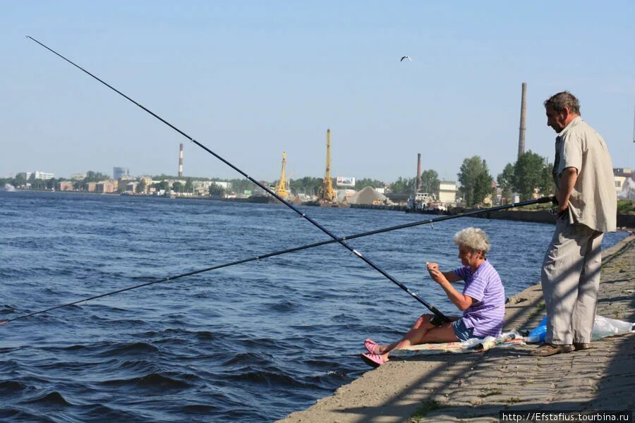 Ловля на неве. Рыбаки на Неве. Рыбаки в центре Питера. Рыбаки на набережной Невы. Ловля рыбы на Неве.