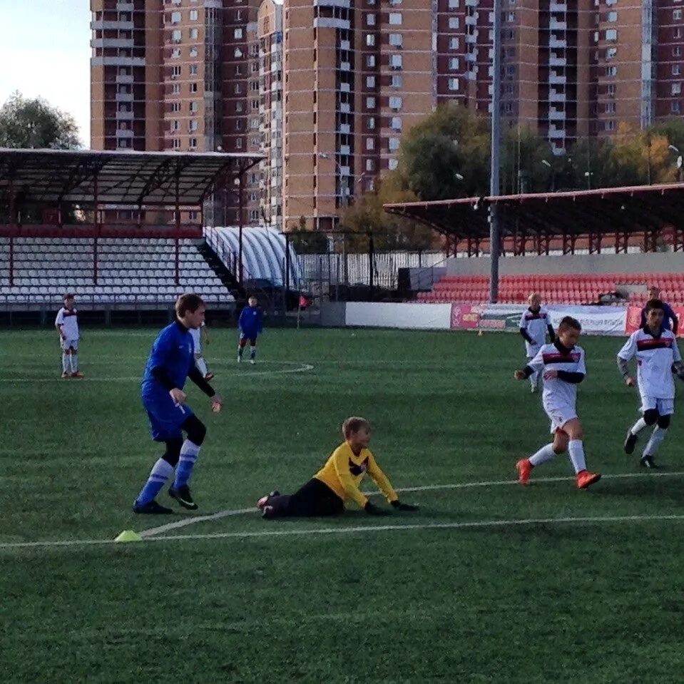 Дюсш витязь москва футбольный клуб стадион. Дюсш витязь. Дюсш зоркий красногорск футбол. Дюсш витязь. Дюсш витязь.
