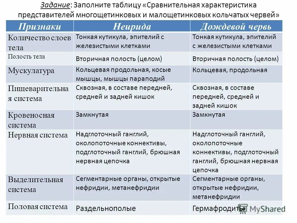 Тип кольчатые черви класс многощетинковые черви 7 класс таблица. Внутреннее строение кольчатых червей таблица. Тип многощетинковые кольчатые черви таблица. Сравнение малощетинковых и многощетинковых червей таблица.