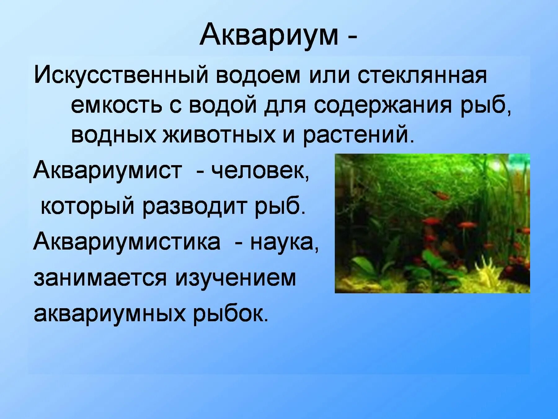 Какие организмы живут в аквариуме 5 класс. Презентация на тему аквариум. Сообщение про аквариум. Презентация для детей на тему аквариумные рыбки. Аквариум для презентации.