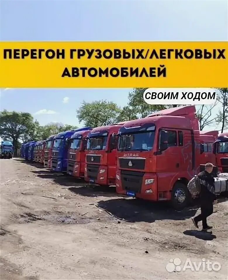 Услуги перегонщика. Перегон грузовиков. Водитель перегонщик. Работа водителем перегонщиком грузовых. Компании дальнобойщиков.