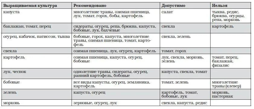 Что можно садить после картошки. Чтоможнл сажать после картошки. Что можно сажать после картофеля на следующий год в открытом грунте.