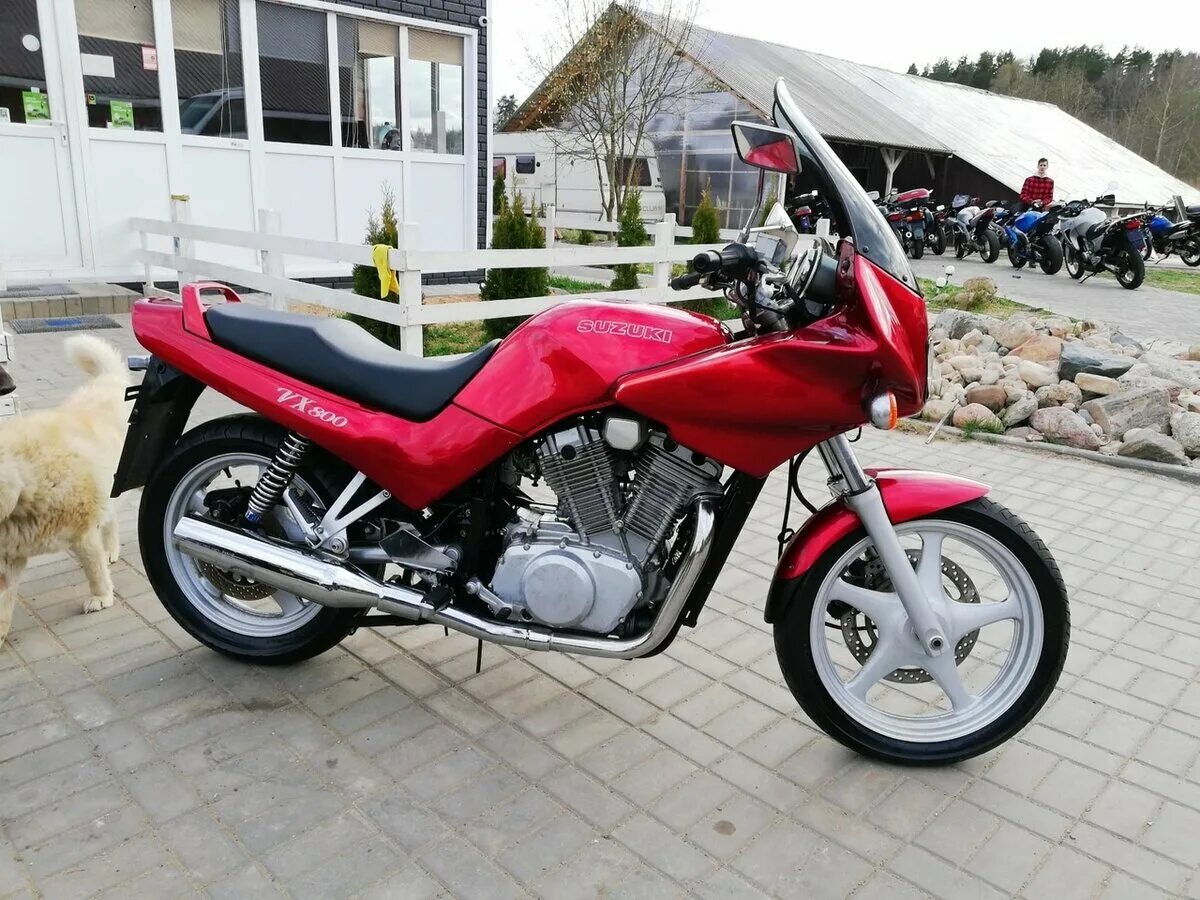 Suzuki vx 800 кастом. Suzuki vx 800 custom exhaust. Suzuki vx 800 1997. Suzuki vx800. Kawasaki vx800.