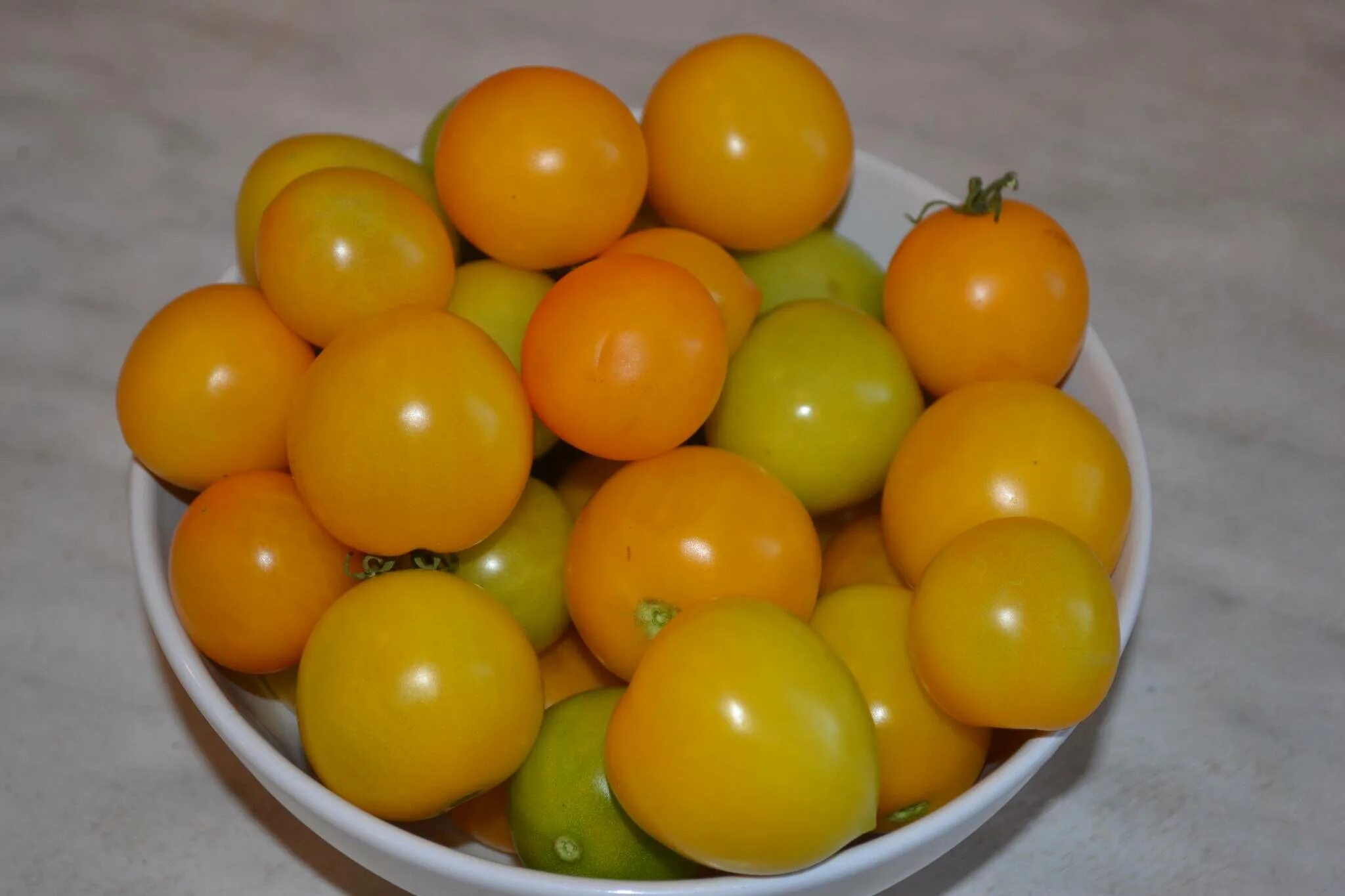 Абрикосов помидоров. Абрикосов помидоров. Помидоры сорт абрикос. Томат фокус покус. Помидор сибирский абрикос.