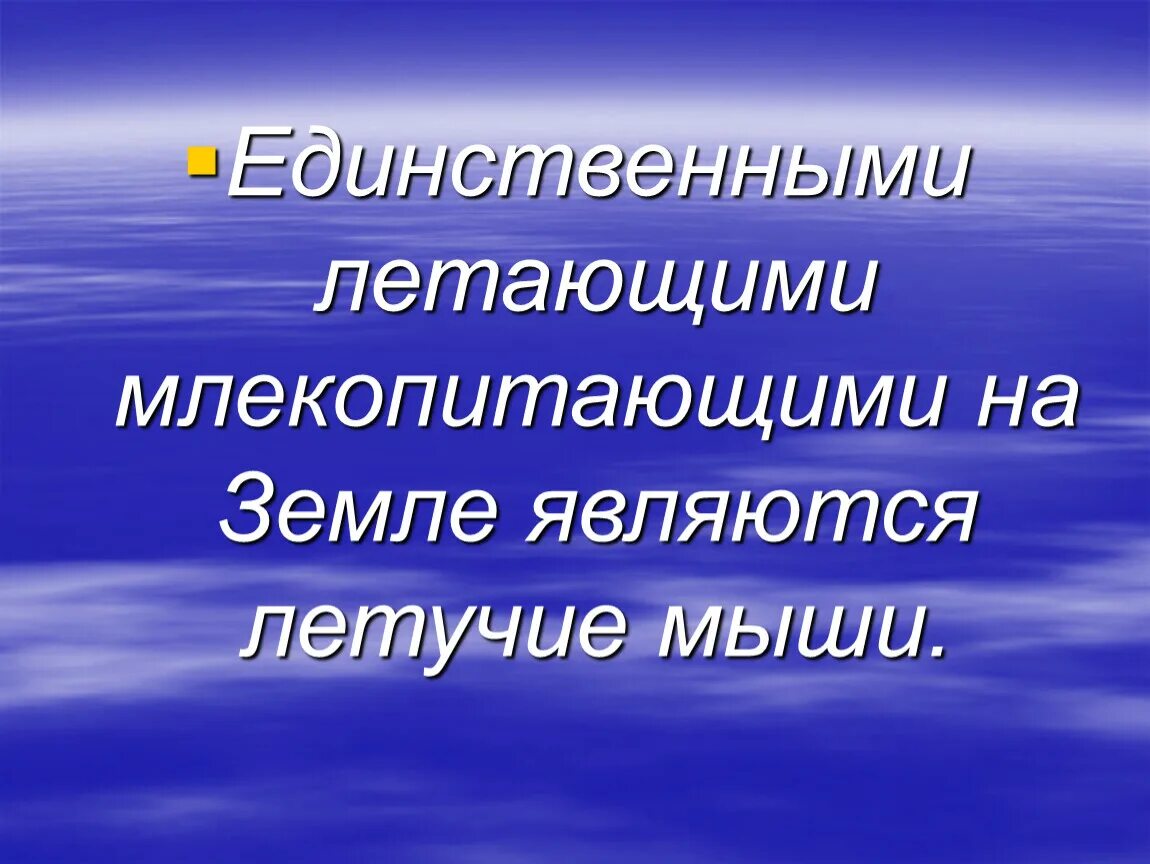 Представители летающих млекопитающих. Летающие млекопитающие представители. признаки летающих млекопитающих. летающие млекопитающие характеристика. летающее млекопитающее единственное.