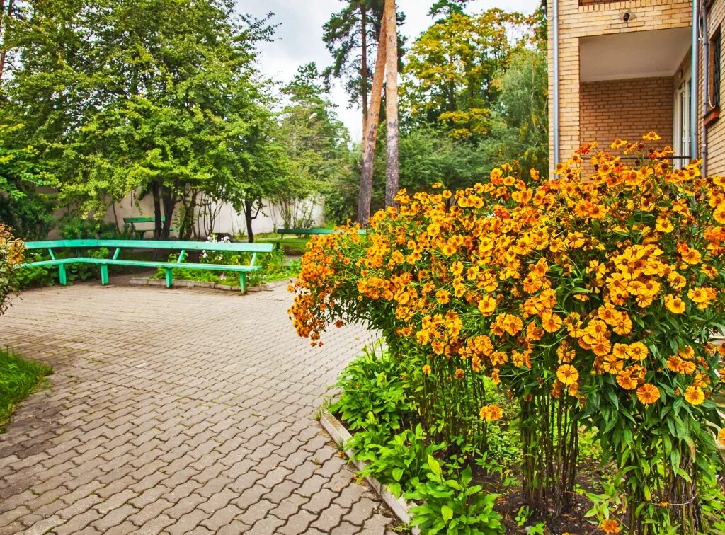 Пансионат доброта Красногорск. Заворово Раменский район дом престарелых. Пансионат доброта в Ильинском. Пансионат д.Заворово.