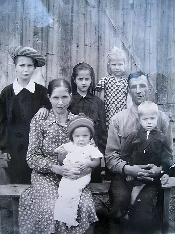 Шенкурский уезд великониколаевская волость. Семья в деревне лаптевых. Семья купца красильникова в череповце 19 век. Савва морозов династия. Зажиточная крестьянская семья в российской империи.