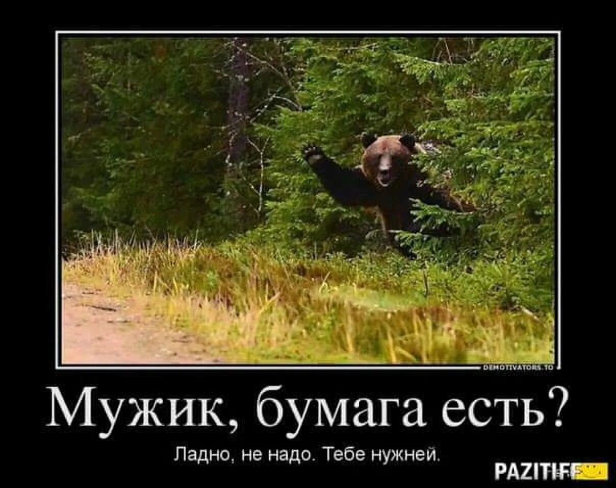 Эй остановись. Шутки про медведя. Приколы в лесу. Медведь демотиватор. Медведь и человек прикол.