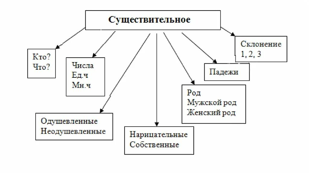 Обобщение по теме существительное 3 класс. Схема существительного для 2 класса. Имя существительное признаки схема. Имя существительное опорная схема. Таблица имя существительное 2 класс.