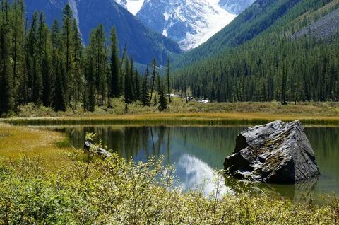 Фото с алтайского края