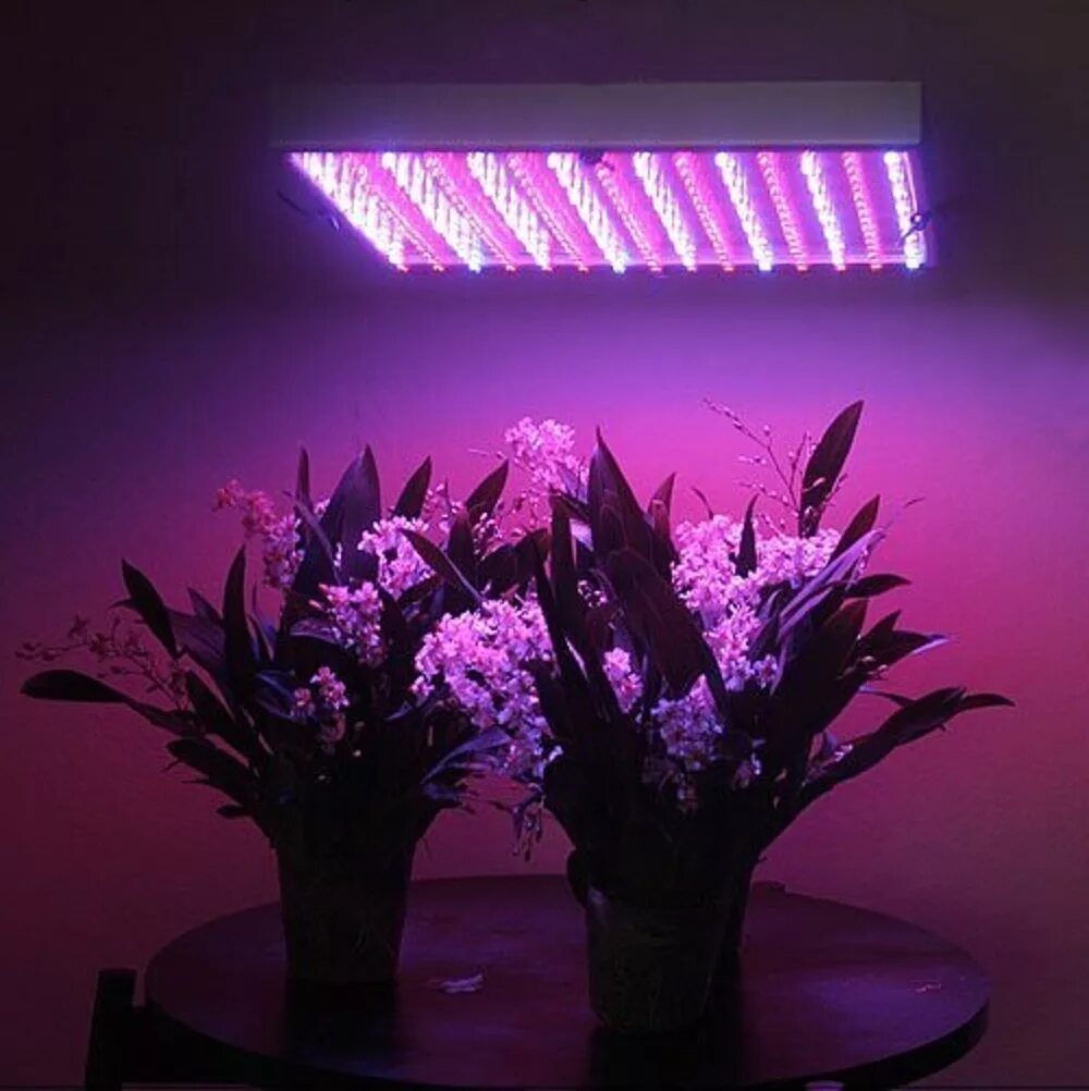 Artificial lighting