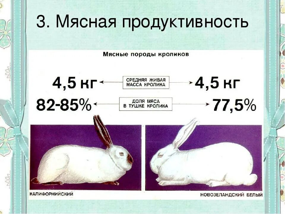 Вес Калифорнийского кролика по месяцам таблица. Таблица веса кроликов разных пород. Таблица расчета веса кроликов. Вес кроликов по месяцам разных пород таблица.