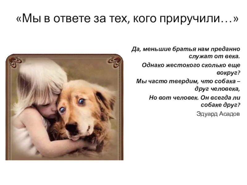 Пример из литературы отношение к животным