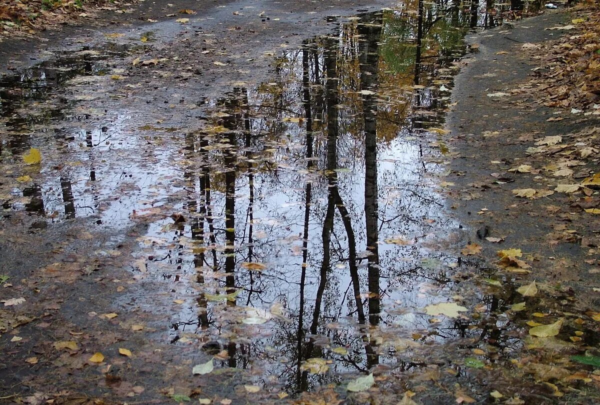 Дождливая осень. Осень дождь. Осенние лужи. Осень лужи. Осенние дождики вовсе не похожи впр 6