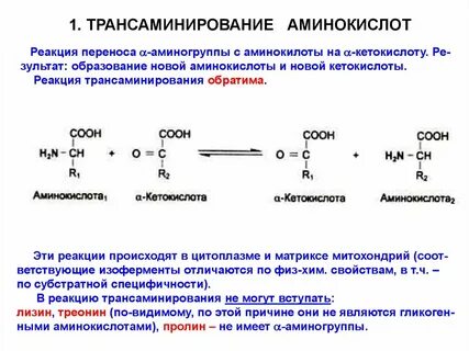 Объясните на каком основании все аминокислоты
