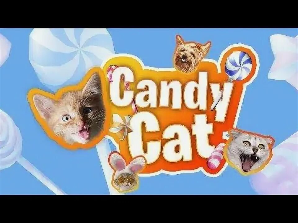 Candy cat игра. Кэнди кэт игрушка. Кэнди кэт магнитогорск. Candy cat мегамаг. Candy cat оренбург.