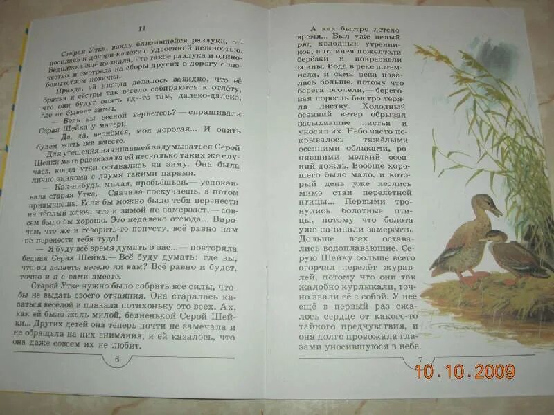 Сочинение по картине серая шейка 3 класс. План рассказа серая шейка. мамин сибиряк серая шейка. серая шейка. сказки и рассказы для детей - дмитрий мамин-сибиряк. изложение серая шейка.