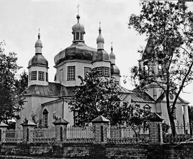 В лебедине