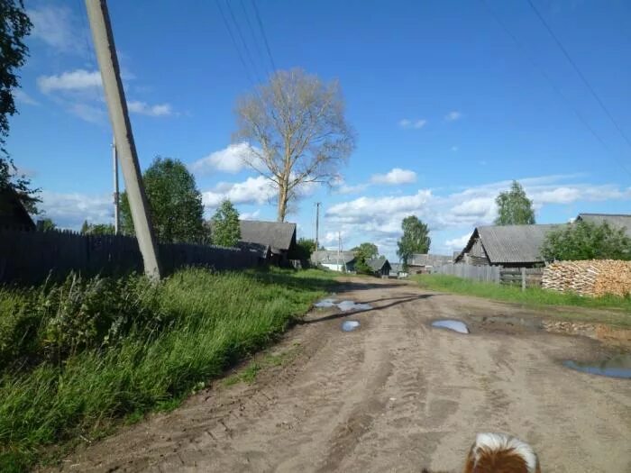 Деревня Борок Вологодская область Никольский район деревня. Деревня Вахнево Вологодская область Никольский район. Село Никольское Вологодская область Никольский район. Милофаново Никольский район Вологодская область. Погода пермас никольского