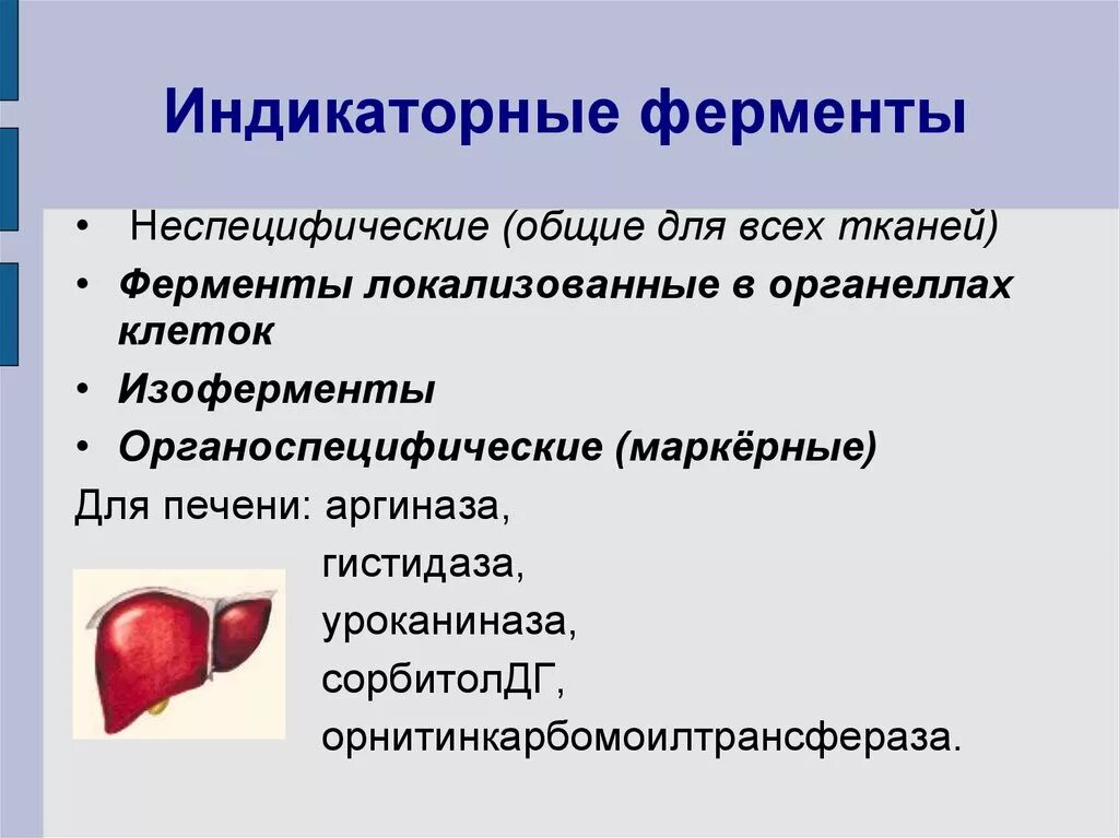 Неспецифические ферменты