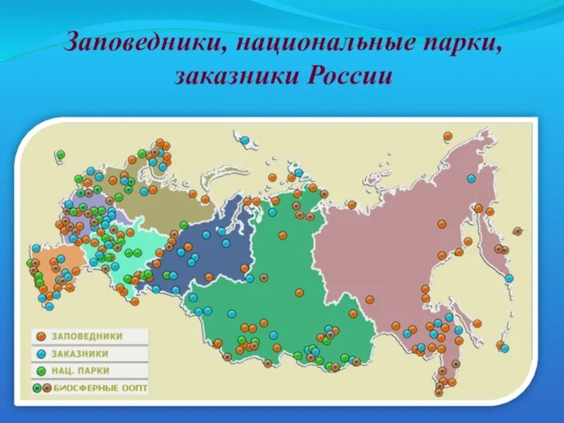 Крупнейшие заповедники россии на карте. Карта России заповедники и национальные парки России. Заповедники заказники национальные парки России. Карта России заповедники и национальные парки 2023. Крупнейшие заповедники и национальные парки России контурная карта.