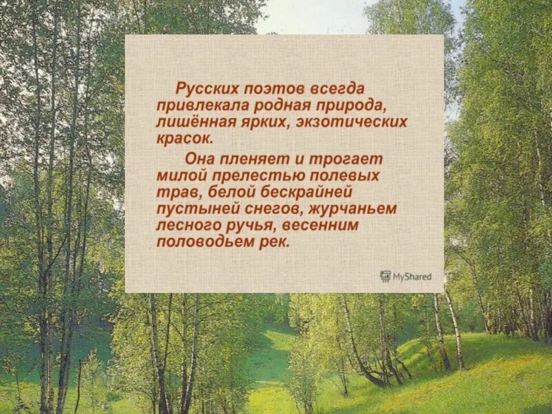 Поэты 19 20 веков о природе. Природа в русской поэзии. Родная природа в русской поэзии. Стихи о родине и родной природе. Поэзия родной природы стихи.