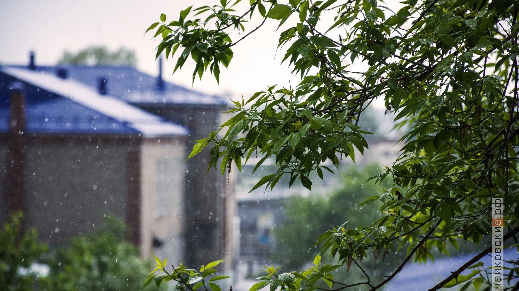 погода в нефтеюганске сегодня. виды облаков названия.