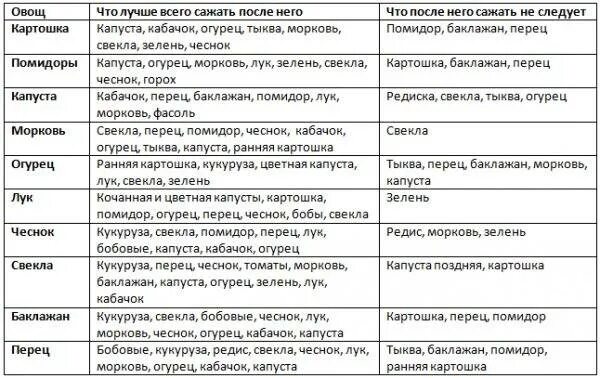 Что посадить после тыквы. После чего садить капусту на следующий год. что можно посадить после капусты. что можно садить после капусты на следующий год. что можно садить после капусты на следующий год таблица.