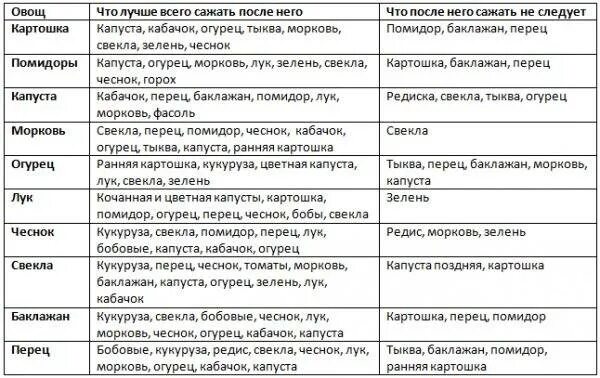 Что можно посадить после капусты. После чего садить капусту на следующий год. Что можно садить после капусты на следующий год. Что можно садить после капусты на следующий год таблица.