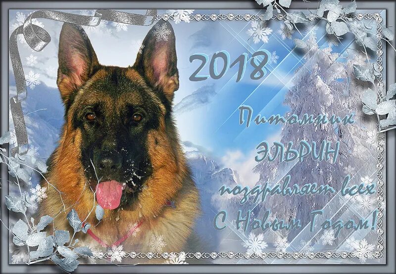 С уходящим годом собаки. Спасибо уходящему году собаки. пороги собак. порог у щенят здоровье.